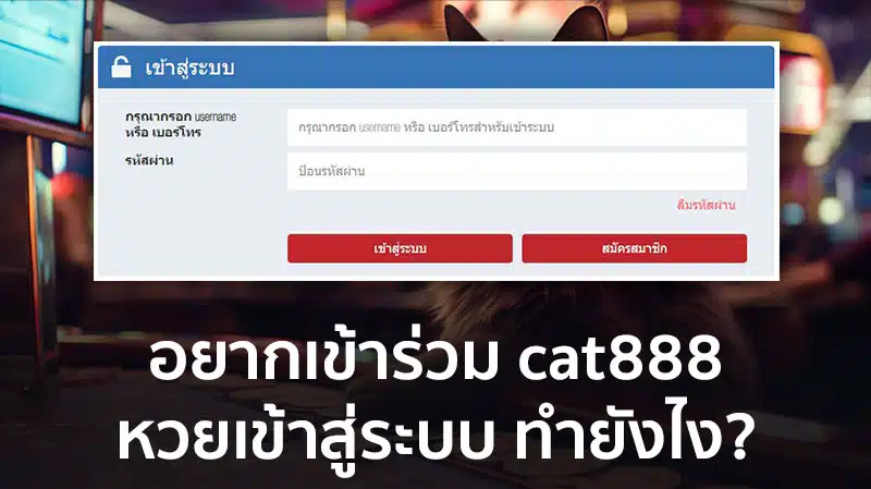 เว็บหวย cat888