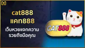 cat888