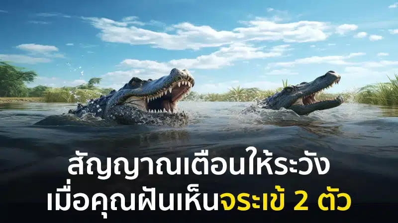 ฝันเห็นจระเข้ 2 ตัว